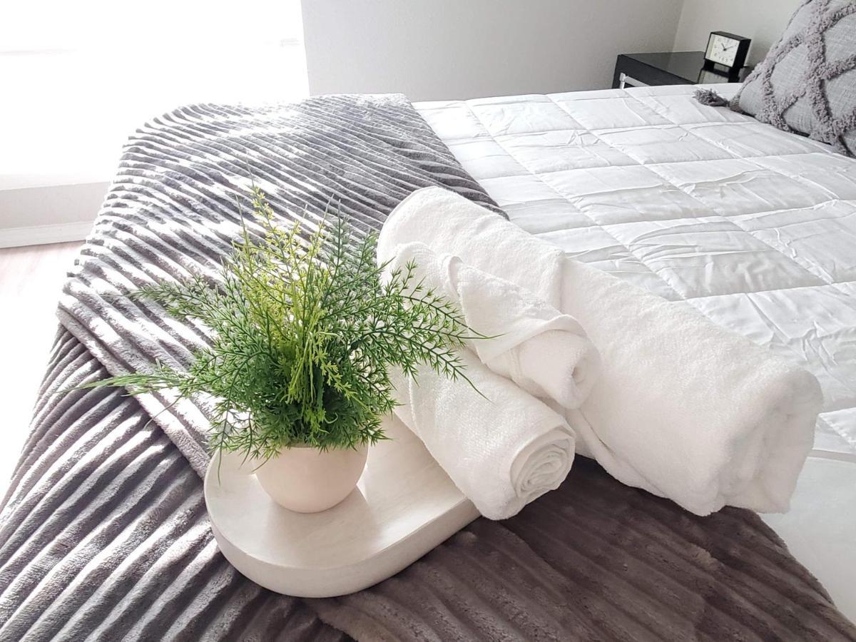 Fashionable Stylish Apartment ฮูสตัน ภายนอก รูปภาพ